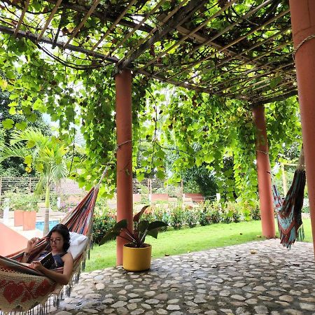 Color Hostel ปาโลมิโน ภายนอก รูปภาพ